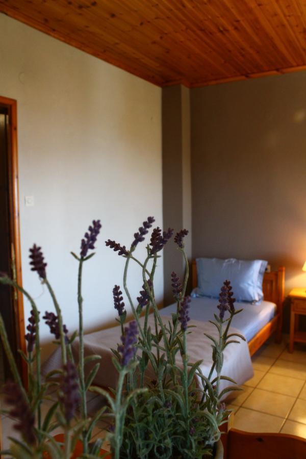 וולוס Hotel Defkalion מראה חיצוני תמונה